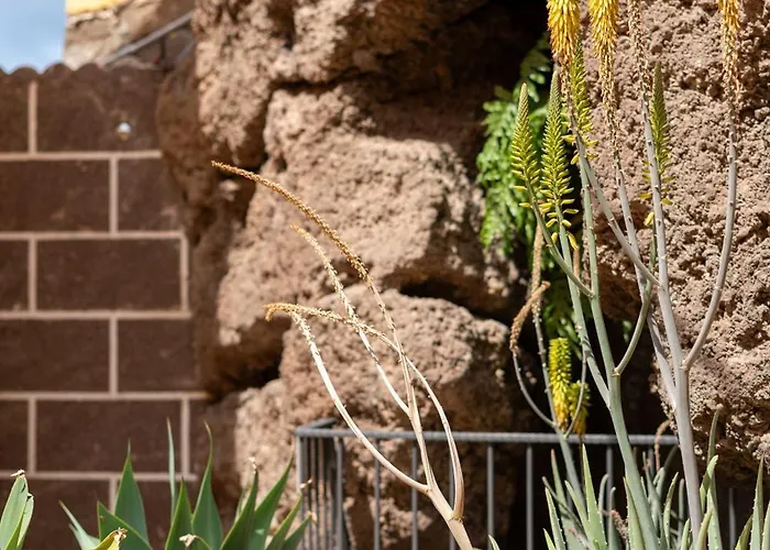 Fajanas De Gáldar *